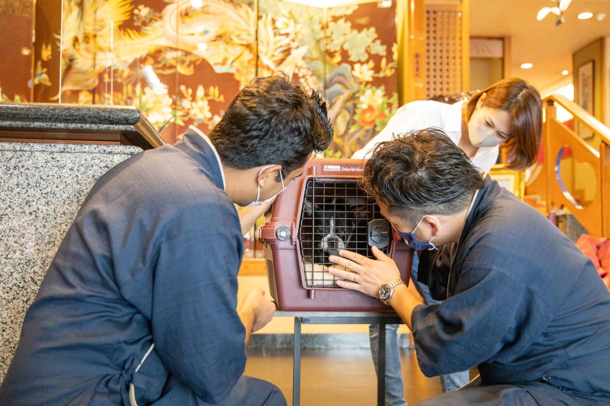 Komatsuya Hachinobou Izunokuni Zewnętrze zdjęcie